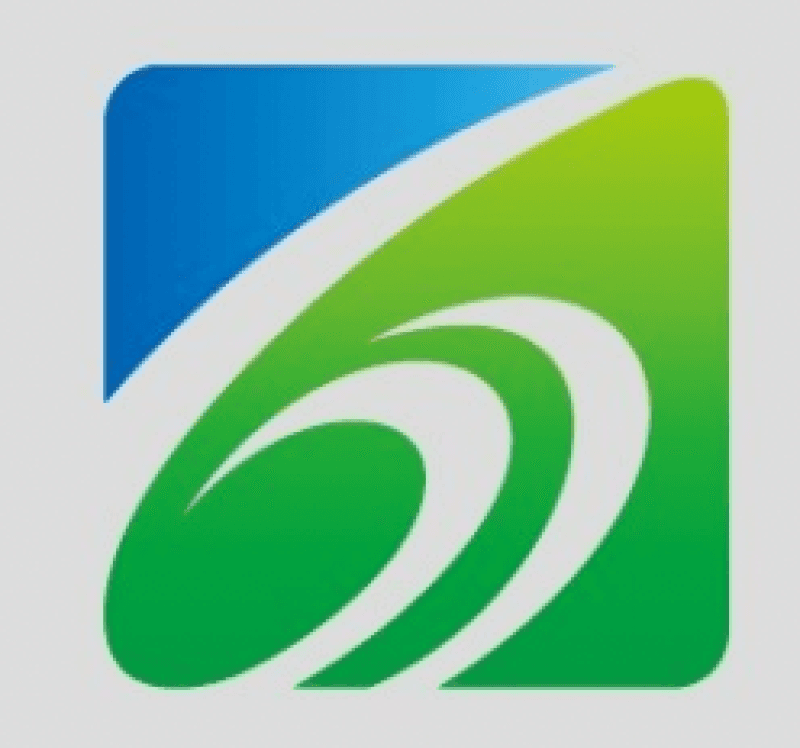 CHINA SHENMA GROUP CO. LTD. – SHENMA INDUSTRIAL CO. LTD.