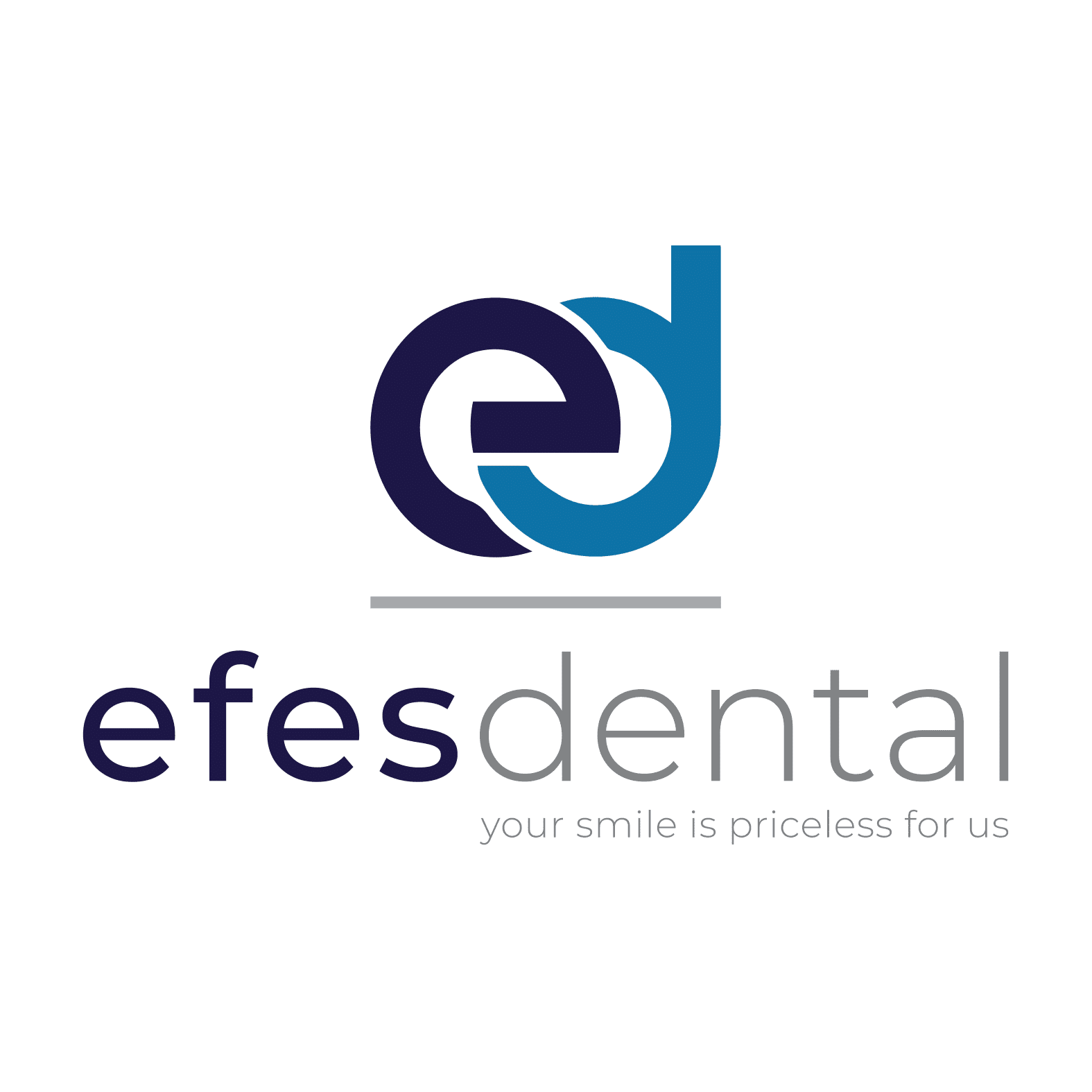 EFES DENTAL MEDİKAL İÇ VE DIŞ TİC. LTD. ŞTİ.