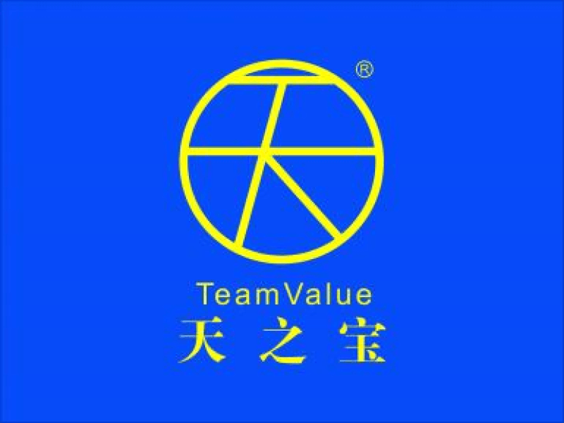 FOSHAN TEAM VALUE DECORATIVE MATERIALS CO LTD