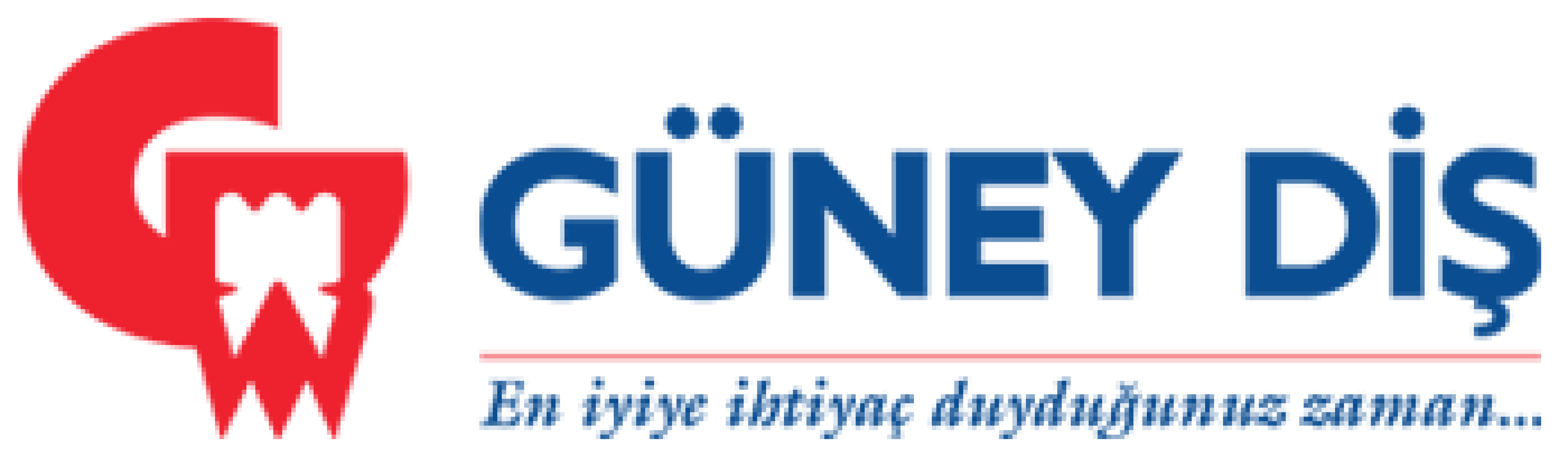 GÜNEY DİŞ DEPOSU TİC. VE SAN. A.Ş.