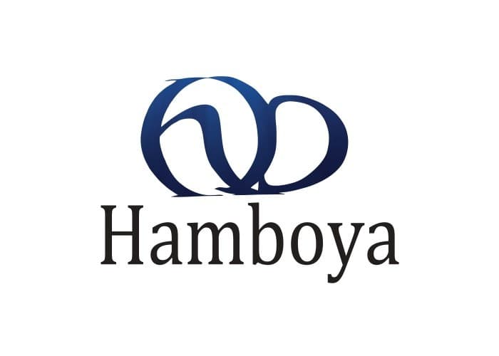 HAMBOYA BOYACILIK TEKSTİL SAN VE TIC AS