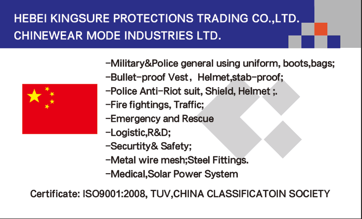 HEBEI KINGSURE PROTECTIONS TRADING CO., LTD.