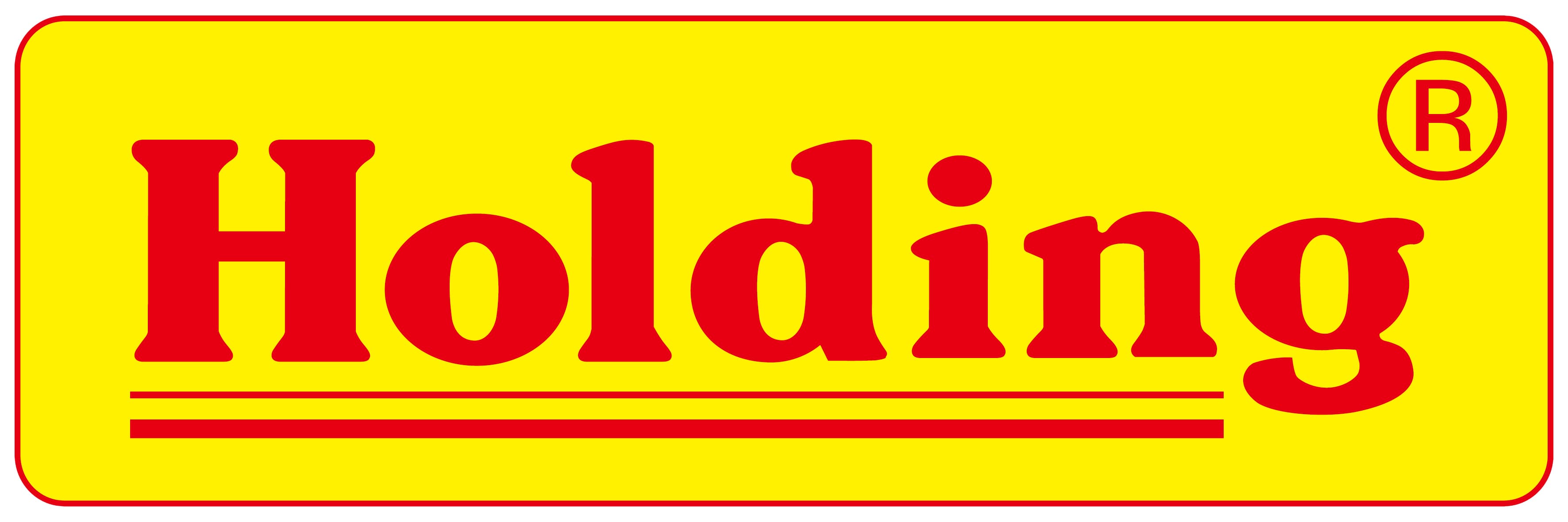 HOLDING ELECTRONICS CO., LTD.