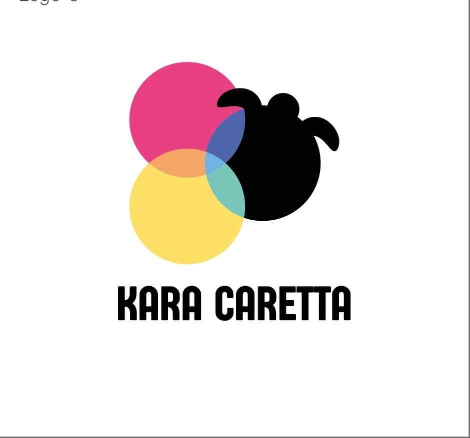 KARA CARETTA YAYIN YAPIM LİMİTED ŞİRKETİ
