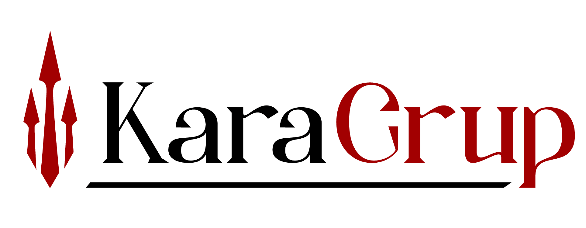 KARA GRUP MEDİKAL SAĞLIK VE TURZ. HİZM. LTD. ŞTİ.