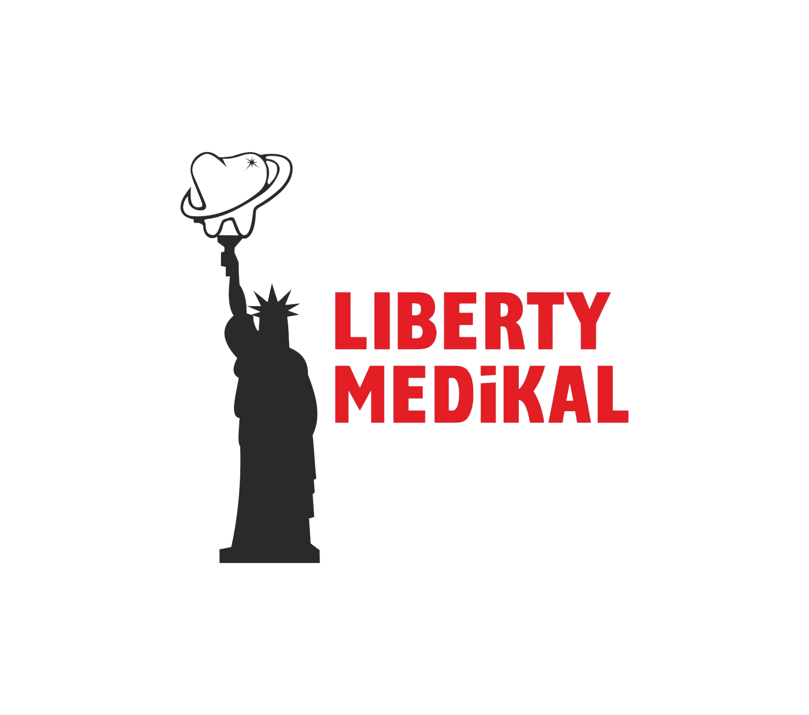 LİBERTY MEDİKAL TIBBİ CİHAZLAR MEDİKAL SAN. TİC. LTD. ŞTİ.