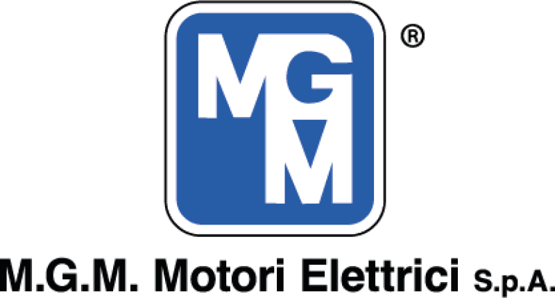 M.G.M. Motori Elettirici