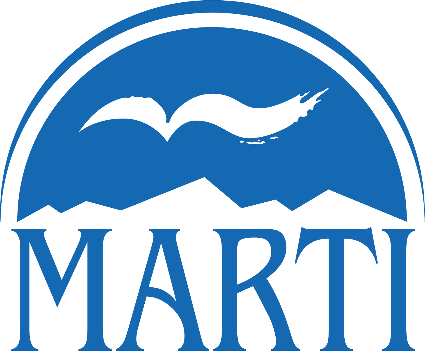 MARTI YAYINLARI