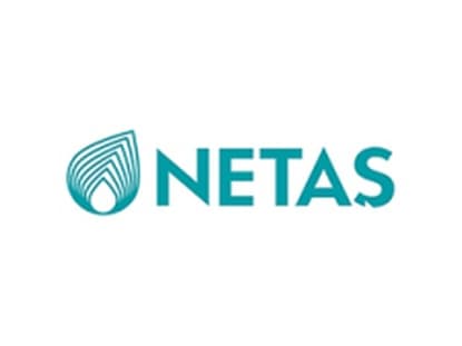 NETAŞ