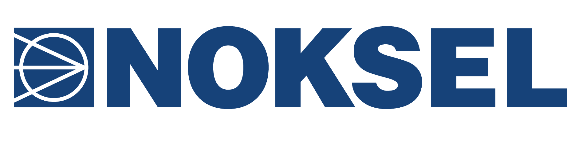 NOKSEL ÇELİK BORU SANAYİ A.Ş.