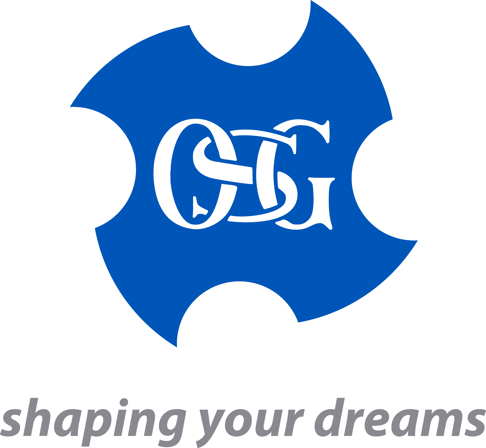 OSG TURKEY KESİCİ TAKIMLAR SAN. İÇ VE DIŞ TİC.A.Ş