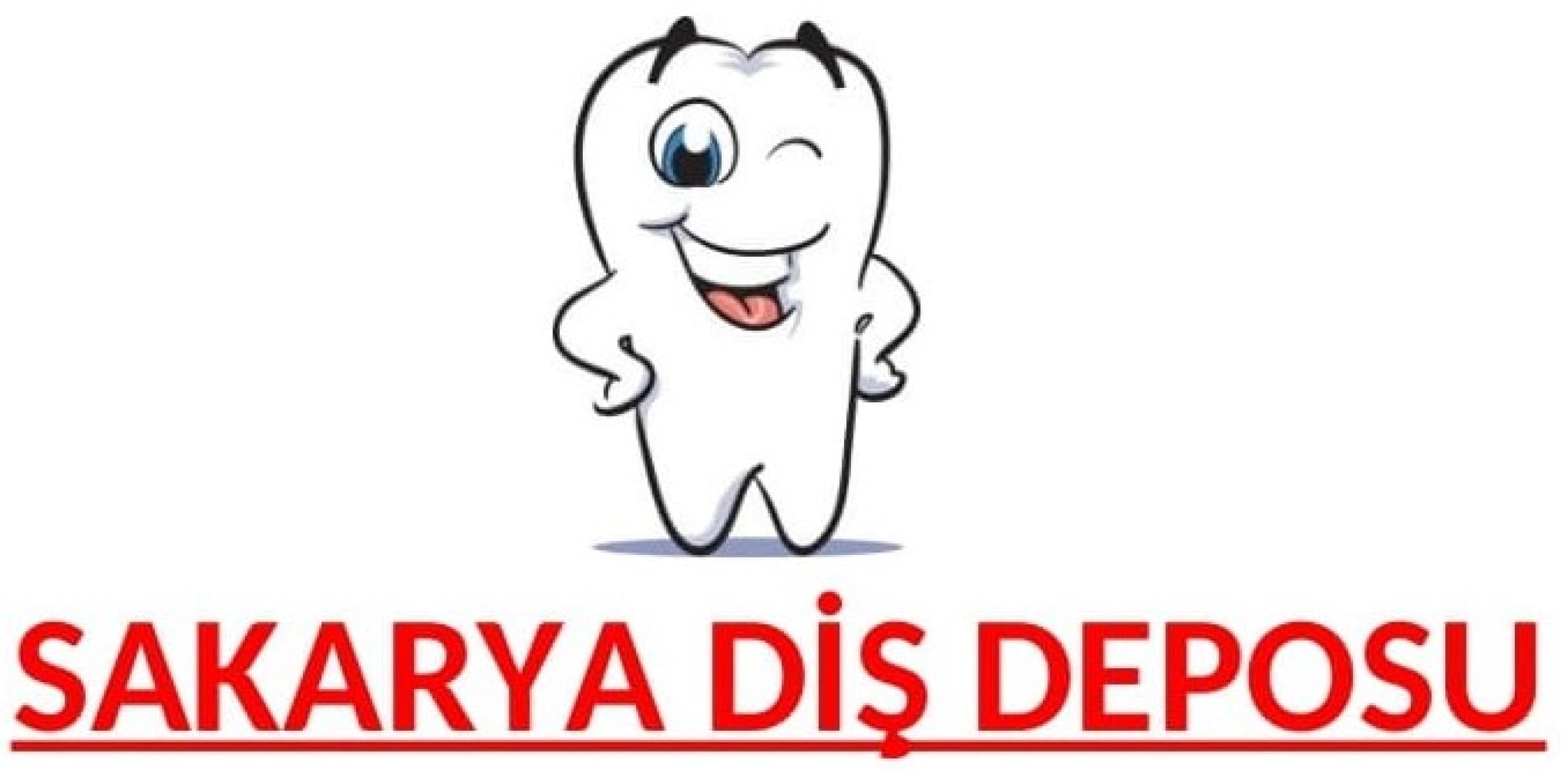 SAKARYA DİŞ DEPOSU İTH. İHR A.Ş.
