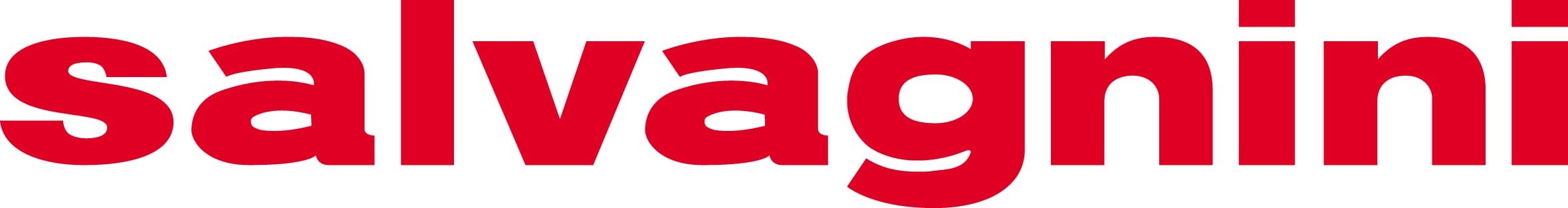 SALVAGNINI GROUP