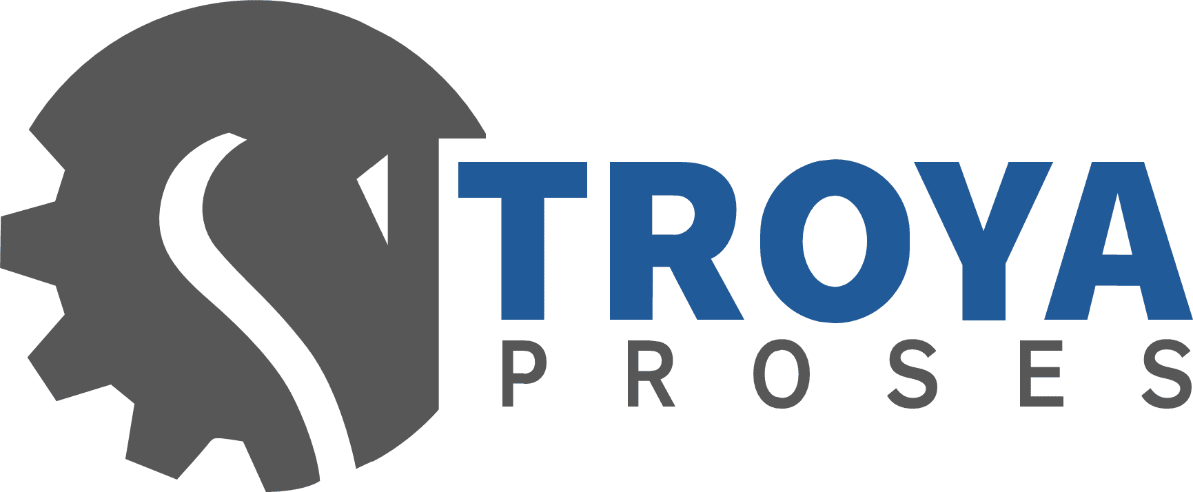 TROYA PROSES MAKİNA KİMYA MADEN TEKNOLOJİLERİ TİC. A.Ş.