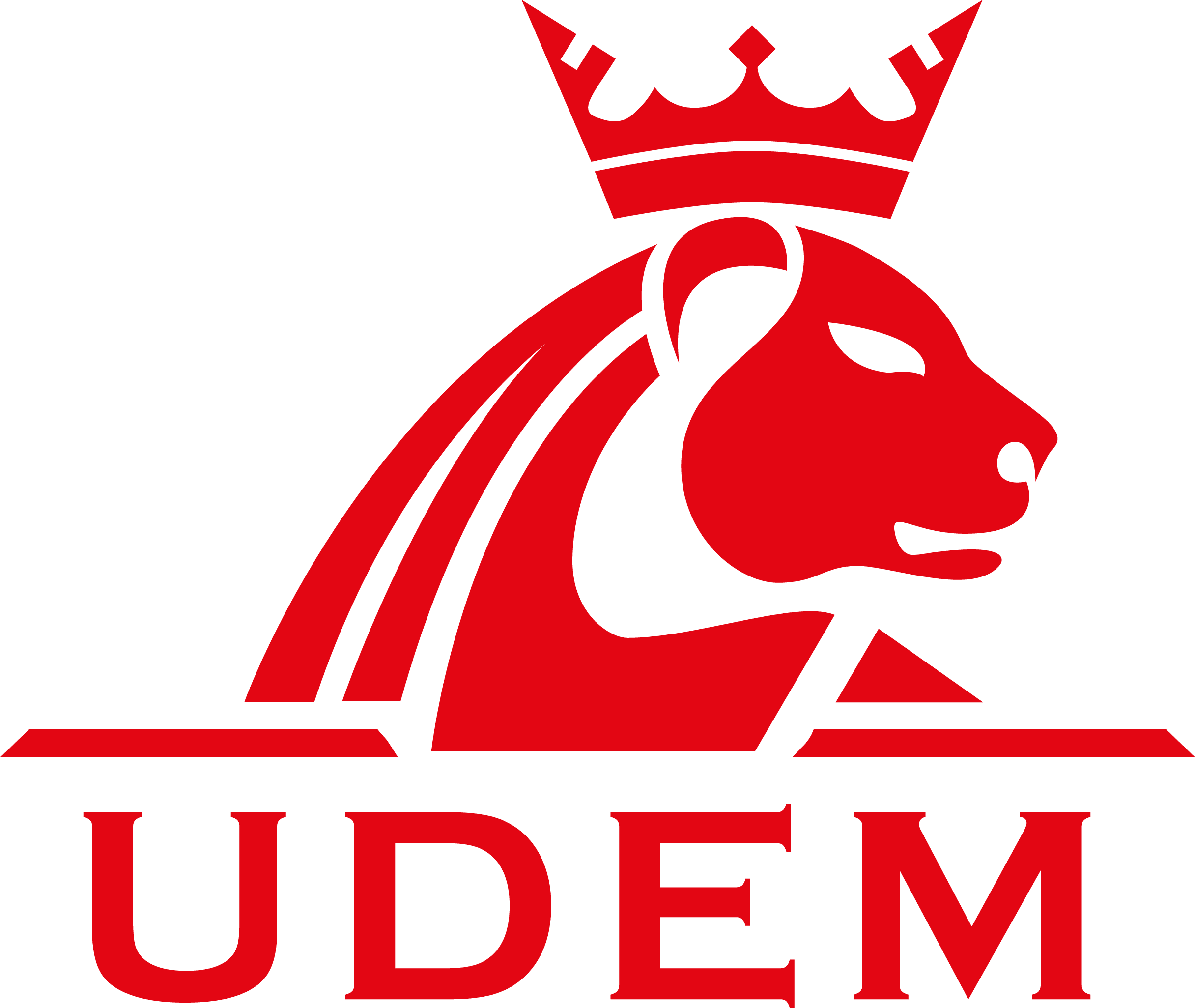 UDEM ULUSLARARASI BELGELENDİRME DEN. EĞT. MERK. SAN. VE TİC. A.Ş