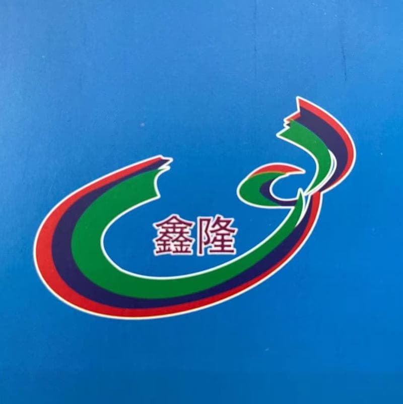 WUQIANG XINLONG TECHONOLOGY CO.,LTD